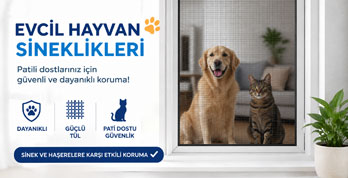 Kedi Sinekliği